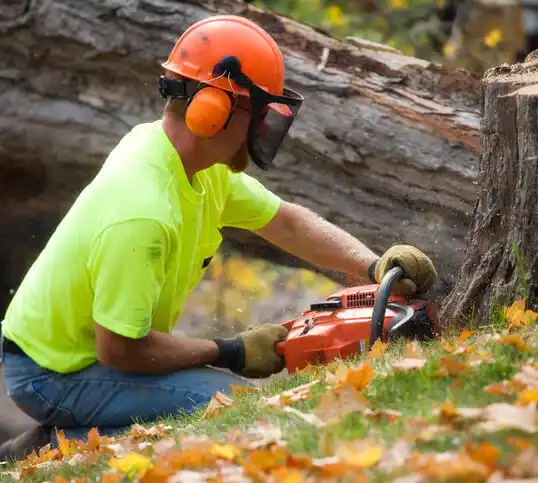 tree services North Bethesda